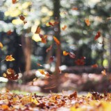 ¿Qué puedes hacer para vivir un otoño dulce?